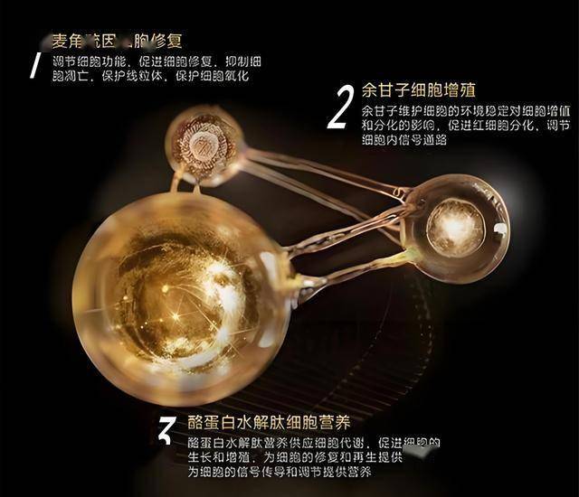 BB Markets蓝莓外汇蓝莓干在国际市场的崛起，究竟是风口还是泡沫？